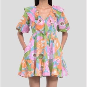 Banjanan Floral Multicolor Ruffle Dress